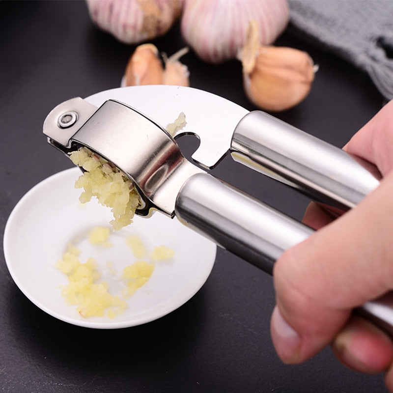 Stainless Garlic Press