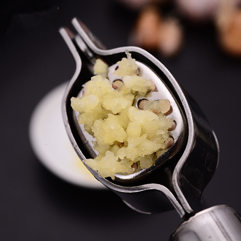 Stainless Garlic Press