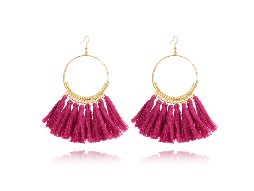 Tassel Hoop Drop Earrings